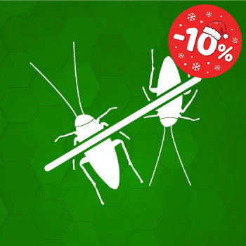 Kakerlaken und Schaben